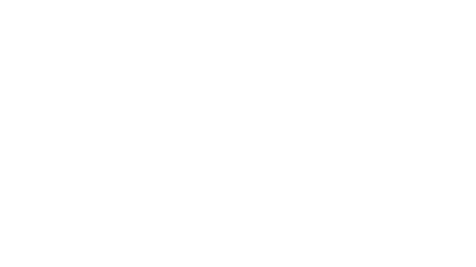 VI-FIT — Perfect Form